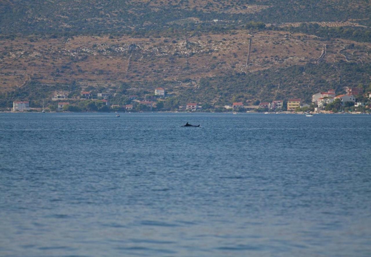 Apartments Viktor * Rogoznica (Sibenik-Knin)